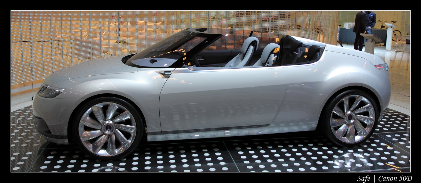 2008   10   Salon auto Paris   242